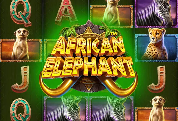 Играйте в популярные игры казино [Casino Name] онлайн на реальные деньги.